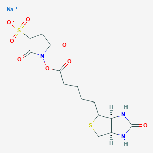 molecular formula C14H18N3NaO8S2 B8057746 sodium;1-[5-[(3aS,6aR)-2-oxo-1,3,3a,4,6,6a-hexahydrothieno[3,4-d]imidazol-4-yl]pentanoyloxy]-2,5-dioxopyrrolidine-3-sulfonate 