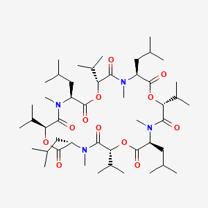 molecular formula C48H84N4O12 B8058538 Bassianolide 