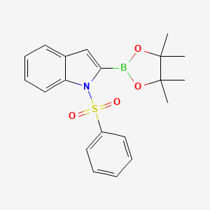 molecular formula C20H22BNO4S B8059749 1-(Phenylsulfonyl)-2-(4,4,5,5-tetramethyl-1,3,2-dioxaborolan-2-yl)-1H-indole 