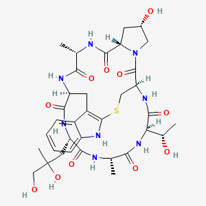 molecular formula C35H48N8O11S B8060827 PHALLOIDIN 