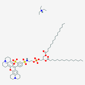 molecular formula C74H117N4O14PS2 B8069760 Sulforhodamine 101 DHPE 