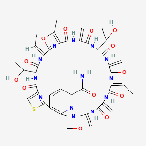 molecular formula C45H45N13O13S B8070123 (17E)-17-ethylidene-14-(1-hydroxyethyl)-27-(2-hydroxypropan-2-yl)-20,33-dimethyl-24,30,37,40-tetramethylidene-12,15,22,25,28,35,38-heptaoxo-19,32,42-trioxa-9-thia-3,13,16,23,26,29,36,39,44,45,46,47-dodecazahexacyclo[39.2.1.18,11.118,21.131,34.02,7]heptatetraconta-1(43),2(7),3,5,8(47),10,18(46),20,31(45),33,41(44)-undecaene-4-carboxamide 