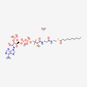molecular formula C31H56N7O18P3S B8071061 Decanoyl coenzyme A monohydrate 