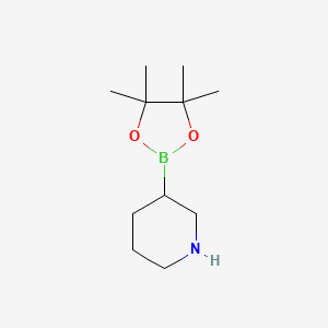 molecular formula C11H22BNO2 B8074499 Piperidine-3-boronic acid pinacol ester 