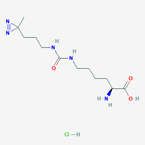 molecular formula C12H24ClN5O3 B8075337 DiZPK Hydrochloride 