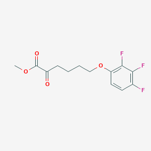 molecular formula C13H13F3O4 B8079015 Methyl 2-oxo-6-(2,3,4-trifluorophenoxy)hexanoate 