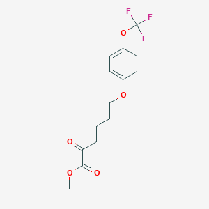 molecular formula C14H15F3O5 B8081002 Methyl 2-oxo-6-[4-(trifluoromethoxy)phenoxy]hexanoate 