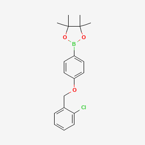 molecular formula C19H22BClO3 B8083785 1,3,2-Dioxaborolane, 2-[4-[(2-chlorophenyl)methoxy]phenyl]-4,4,5,5-tetramethyl- 