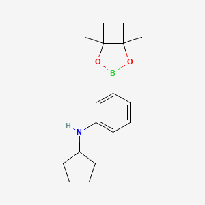 molecular formula C17H26BNO2 B8085675 N-cyclopentyl-3-(4,4,5,5-tetramethyl-1,3,2-dioxaborolan-2-yl)aniline 