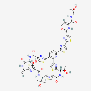 molecular formula C48H49N13O10S6 B8088759 Thiocillin I 