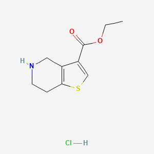 molecular formula C10H14ClNO2S B8092657 Ethyl 4,5,6,7-tetrahydrothieno[3,2-c]pyridine-3-carboxylate hydrochloride 