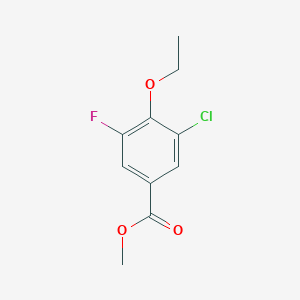 molecular formula C10H10ClFO3 B8099019 Methyl 5-chloro-4-ethoxy-3-fluorobenzoate CAS No. 2056110-47-3