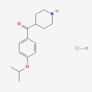 (4-Isopropoxy-phenyl)-piperidin-4-yl-methanone hydrochloride