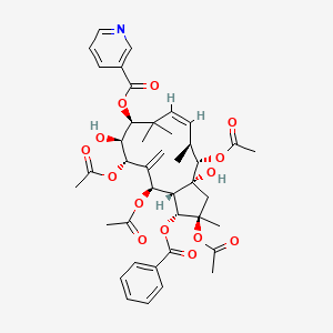 molecular formula C41H49NO14 B8099207 [(1R,2R,3aR,4S,5S,6Z,9S,10S,11S,13R,13aS)-2,4,11,13-tetraacetyloxy-1-benzoyloxy-3a,10-dihydroxy-2,5,8,8-tetramethyl-12-methylidene-3,4,5,9,10,11,13,13a-octahydro-1H-cyclopenta[12]annulen-9-yl] pyridine-3-carboxylate 