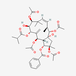 molecular formula C39H52O14 B8099212 [(1R,2R,3aR,4S,5S,6Z,9S,10S,11S,13R,13aS)-2,4,9,13-tetraacetyloxy-3a,10-dihydroxy-2,5,8,8-tetramethyl-12-methylidene-11-(2-methylpropanoyloxy)-3,4,5,9,10,11,13,13a-octahydro-1H-cyclopenta[12]annulen-1-yl] benzoate 