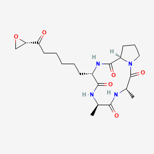 molecular formula C21H32N4O6 B8101626 HC Toxin 