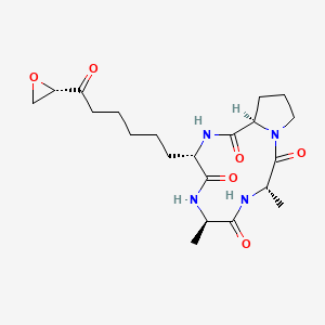 molecular formula C21H32N4O6 B8101626 cyclo[D-Ala-Ala-D-Pro-Asu(Unk)] 