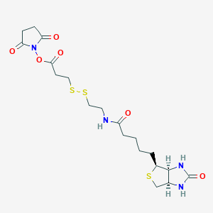 molecular formula C19H28N4O6S3 B8104144 NHS-SS-Biotin 