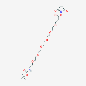 molecular formula C24H42N2O12 B8114177 t-Boc-N-Amido-PEG6-NHS ester 
