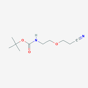 molecular formula C10H18N2O3 B8116617 Tert-butyl [2-(2-cyanoethoxy)ethyl]carbamate 