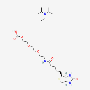 molecular formula C25H48N4O7S B8120399 Biotinyl-tota-glutaramic acid dipea salt 