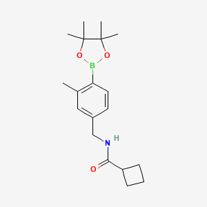 molecular formula C19H28BNO3 B8122445 N-[[3-methyl-4-(4,4,5,5-tetramethyl-1,3,2-dioxaborolan-2-yl)phenyl]methyl]cyclobutanecarboxamide 