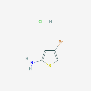 molecular formula C4H5BrClNS B8127331 4-Bromothiophen-2-amine hydrochloride 