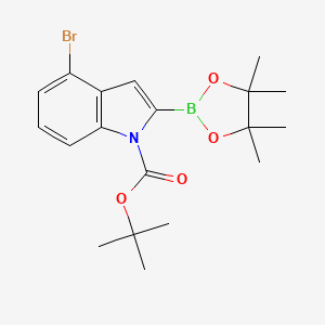 molecular formula C19H25BBrNO4 B8129808 tert-Butyl 4-bromo-2-(4,4,5,5-tetramethyl-1,3,2-dioxaborolan-2-yl)-1H-indole-1-carboxylate 