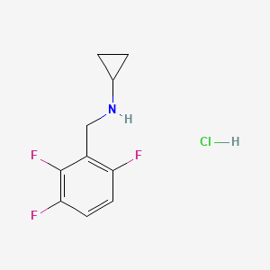 molecular formula C10H11ClF3N B8130517 N-(2,3,6-trifluorobenzyl)cyclopropanamine hydrochloride 