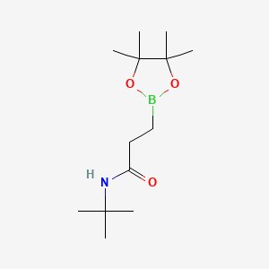 molecular formula C13H26BNO3 B8131602 N-tert-Butyl-3-(tetramethyl-1,3,2-dioxaborolan-2-yl)propanamide 