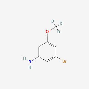 molecular formula C7H8BrNO B8135043 3-Bromo-5-(methoxy-d3)aniline 