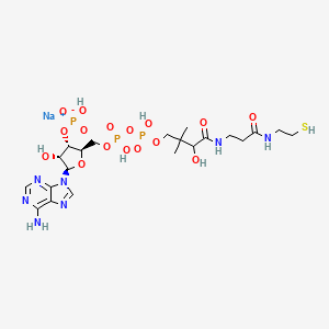 molecular formula C21H35N7NaO16P3S B8140539 sodium;[(2R,3S,4R,5R)-5-(6-aminopurin-9-yl)-4-hydroxy-2-[[hydroxy-[hydroxy-[3-hydroxy-2,2-dimethyl-4-oxo-4-[[3-oxo-3-(2-sulfanylethylamino)propyl]amino]butoxy]phosphoryl]oxyphosphoryl]oxymethyl]oxolan-3-yl] hydrogen phosphate 