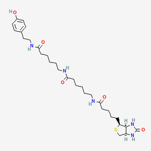 molecular formula C30H47N5O5S B8147317 N-(4-Hydroxyphenethyl)-6-(6-(5-((3aS,4S,6aR)-2-oxohexahydro-1H-thieno[3,4-d]imidazol-4-yl)pentanamido)hexanamido)hexanamide 