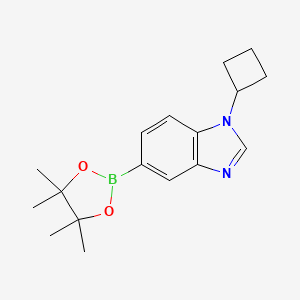 molecular formula C17H23BN2O2 B8158414 1-Cyclobutyl-5-(4,4,5,5-tetramethyl-1,3,2-dioxaborolan-2-yl)-1H-benzo[d]imidazole 