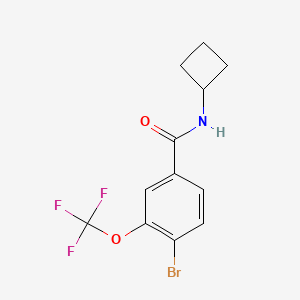 molecular formula C12H11BrF3NO2 B8158450 4-Bromo-N-cyclobutyl-3-(trifluoromethoxy)benzamide 