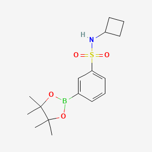 molecular formula C16H24BNO4S B8158740 N-Cyclobutyl-3-(4,4,5,5-tetramethyl-1,3,2-dioxaborolan-2-yl)benzenesulfonamide 