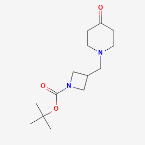 molecular formula C14H24N2O3 B8159096 tert-Butyl 3-((4-oxopiperidin-1-yl)methyl)azetidine-1-carboxylate 
