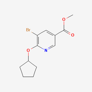 molecular formula C12H14BrNO3 B8159122 Methyl 5-bromo-6-(cyclopentyloxy)nicotinate 