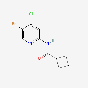 molecular formula C10H10BrClN2O B8164633 N-(5-bromo-4-chloropyridin-2-yl)cyclobutanecarboxamide 