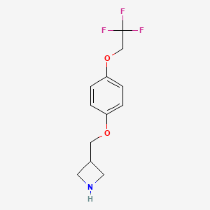 molecular formula C12H14F3NO2 B8164810 3-((4-(2,2,2-Trifluoroethoxy)phenoxy)methyl)azetidine 