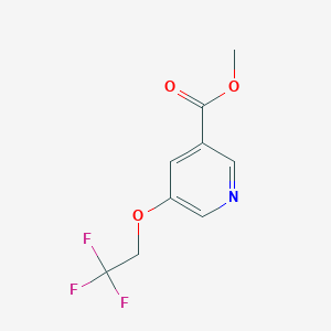 molecular formula C9H8F3NO3 B8168278 Methyl 5-(2,2,2-trifluoroethoxy)nicotinate 