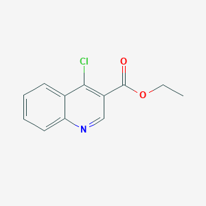 molecular formula C12H10ClNO2 B081768 Ethyl 4-Chloroquinoline-3-carboxylate CAS No. 13720-94-0