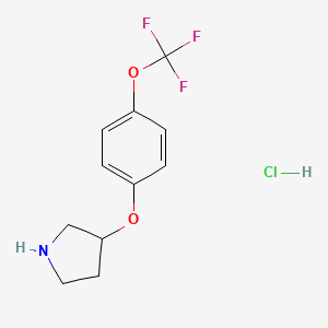 3-[4-(Trifluoromethoxy)phenoxy]pyrrolidine HCl