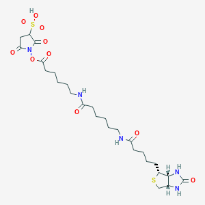 molecular formula C26H41N5O10S2 B8180025 Hexanoic acid, 6-[[6-[[5-[(3aR,4R,6aS)-hexahydro-2-oxo-1H-thieno[3,4-d]imidazol-4-yl]-1-oxopentyl]amino]-1-oxohexyl]amino]-, 2,5-dioxo-3-sulfo-1-pyrrolidinyl ester CAS No. 2098500-32-2