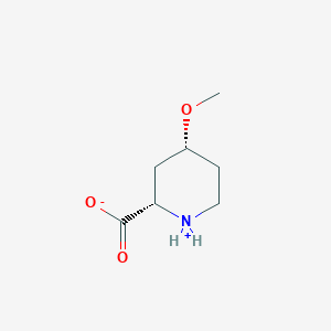 molecular formula C7H13NO3 B8189657 (2S,4R)-4-methoxypiperidin-1-ium-2-carboxylate 