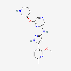 molecular formula C19H23N7O2 B8196068 LY2880070 CAS No. 1375637-35-6
