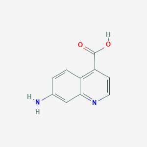 molecular formula C10H8N2O2 B8200183 7-Aminoquinoline-4-carboxylic acid 