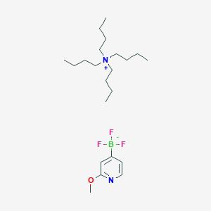 molecular formula C22H42BF3N2O B8204832 Tetrabutylammonium 2-methoxy-4-pyridinetrifluoroborate 