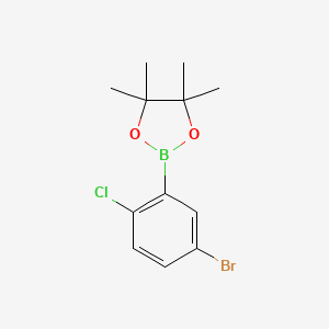 molecular formula C12H15BBrClO2 B8209333 5-Bromo-2-chlorophenylboronic acid pinacol ester 