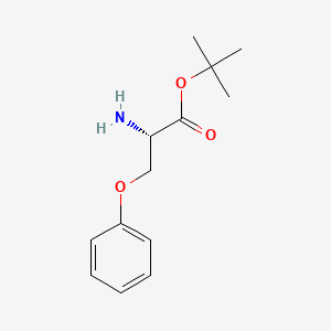 molecular formula C13H19NO3 B8211529 tert-butyl (2S)-2-amino-3-phenoxypropanoate 
